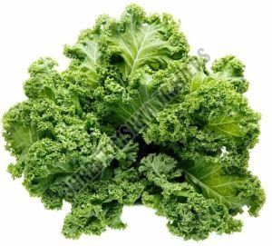 A Grade Fresh Green Kale