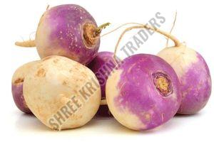 A Grade Fresh Turnip