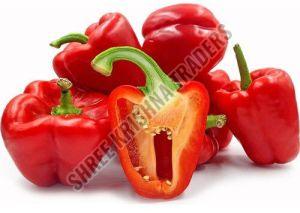 A Grade Red Bell Pepper