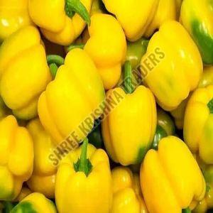 A Grade Yellow Bell Pepper