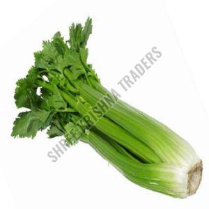 Fresh Celery
