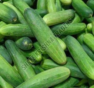 Fresh Cucumber