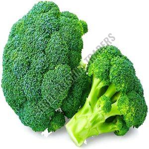 Fresh Green Broccoli