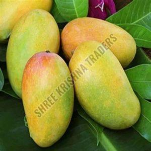 Fresh Indian Kesar Mango