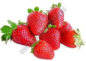 Fresh Strawberry