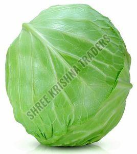 High Quality Green Cabbage