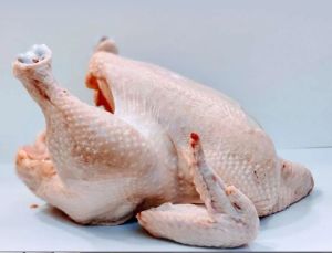 Halal Frozen Whole Chicken