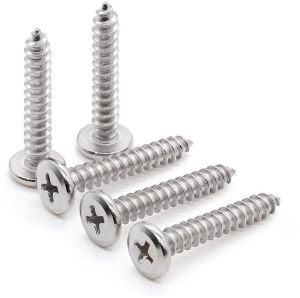 12 Mm Stainless Steel Self Tapping Screw