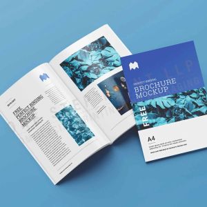 Corporate Brochures Printing Service