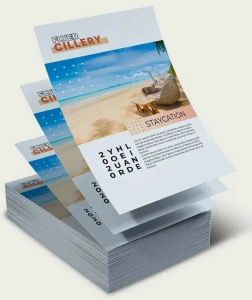 Multicolor A4 Size Pamphlet