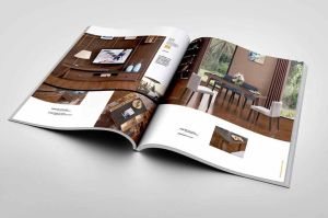 Printed Advertising Brochure