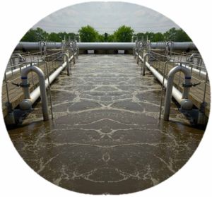G9 Odo Odor Culture