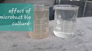Microbact Textile Microbial Culture