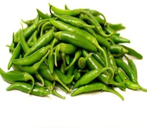 Fresh Green Chilli