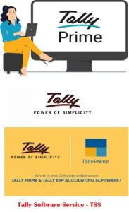 Gold Tally Software Service Renewal