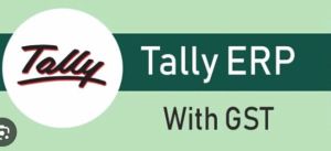 Tally ERP Accounting Software