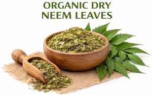 Organic Dried Neem Leaves