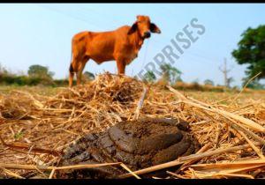 Wet Cow Dung