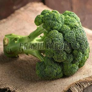 Fresh Green Broccoli