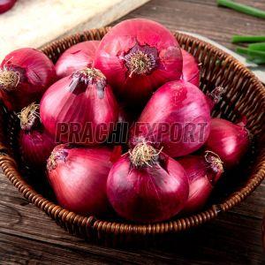 Fresh Red Onion