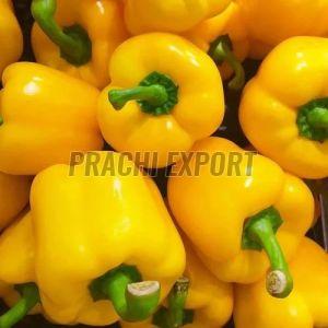 Fresh Yellow Capsicum