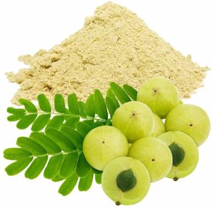 Dehydrated Amla Powder