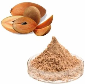 Dehydrated Chikoo Powder