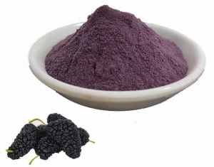 Dehydrated Mulberry Powder