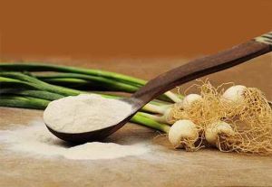 Dehydrated Spring Onion Powder
