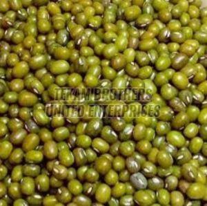 Whole Green Moong