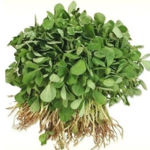 Fenugreek Leaf