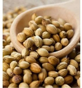 Whole Coriander Seed