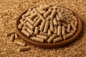 Rice Husk Biomass Pellets