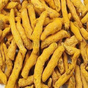 A Grade Turmeric Finger