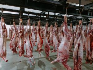 Halal Goat Meat