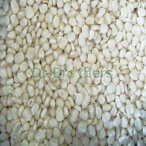 A Grade White Maize Seed