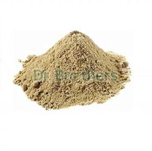 Dehydrated Giloy Powder