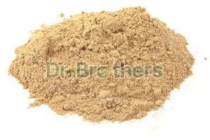 Seedless Amla Powder