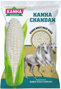 Kanha Chandan White Maize Seed
