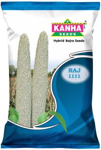 Kanha Raj 111 Hybrid Bajra Seed