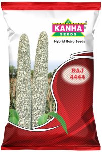 Kanha Raj 444 Hybrid Bajra Seed