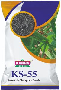 Kanha KS55 Research Blackgram Seed