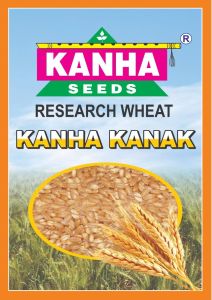 Kanha Research Wheat Seed
