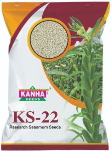 Kanha Sesamum Seed