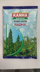 Radha Hybrid Castor Seed