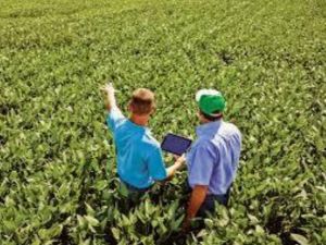 Agricultural Consultancy Services