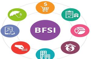 Bfsi Recruitment Services
