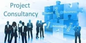 Project Consulting Services