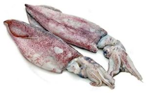 Fresh Squid Fish