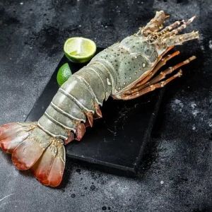 Frozen Lobsters